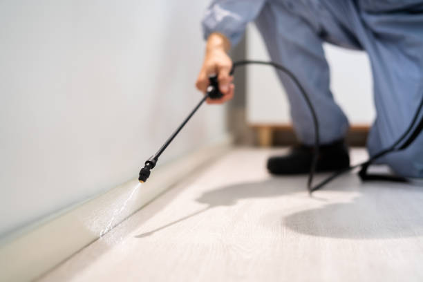 Licensed Wasp Control service in Penn State Erie, PA - Nex Pest Control