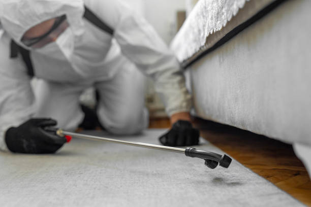 Professional Wasp Control technician working in Penn State Erie, PA