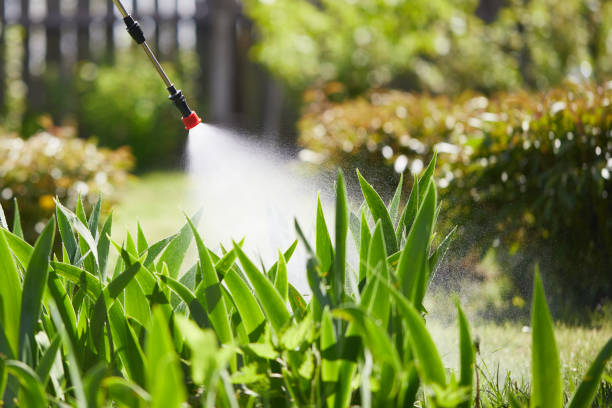 24/7 Emergency Mosquito Control experts in Penn State Erie, PA