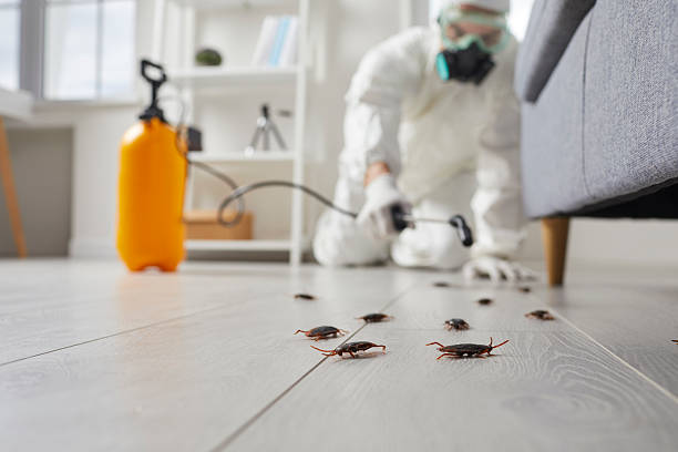 Trusted Cockroach Control service in Penn State Erie, PA - Nex Pest Control